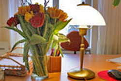 Tulpen